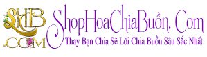 Shop Hoa Chia Buồn
