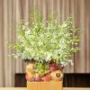 Giỏ Hoa & Trái Cây Kính Viếng TC016